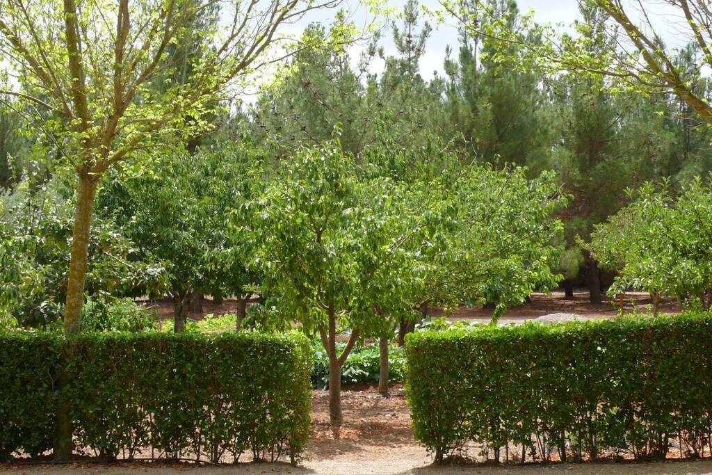 Casa En El Campo Con Encanto Almansa Ngoại thất bức ảnh