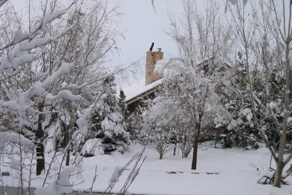Casa En El Campo Con Encanto Almansa Ngoại thất bức ảnh